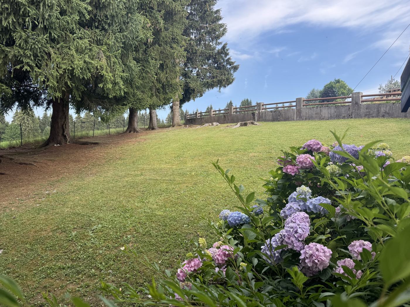 Giardino comune, Appartamento Cervo