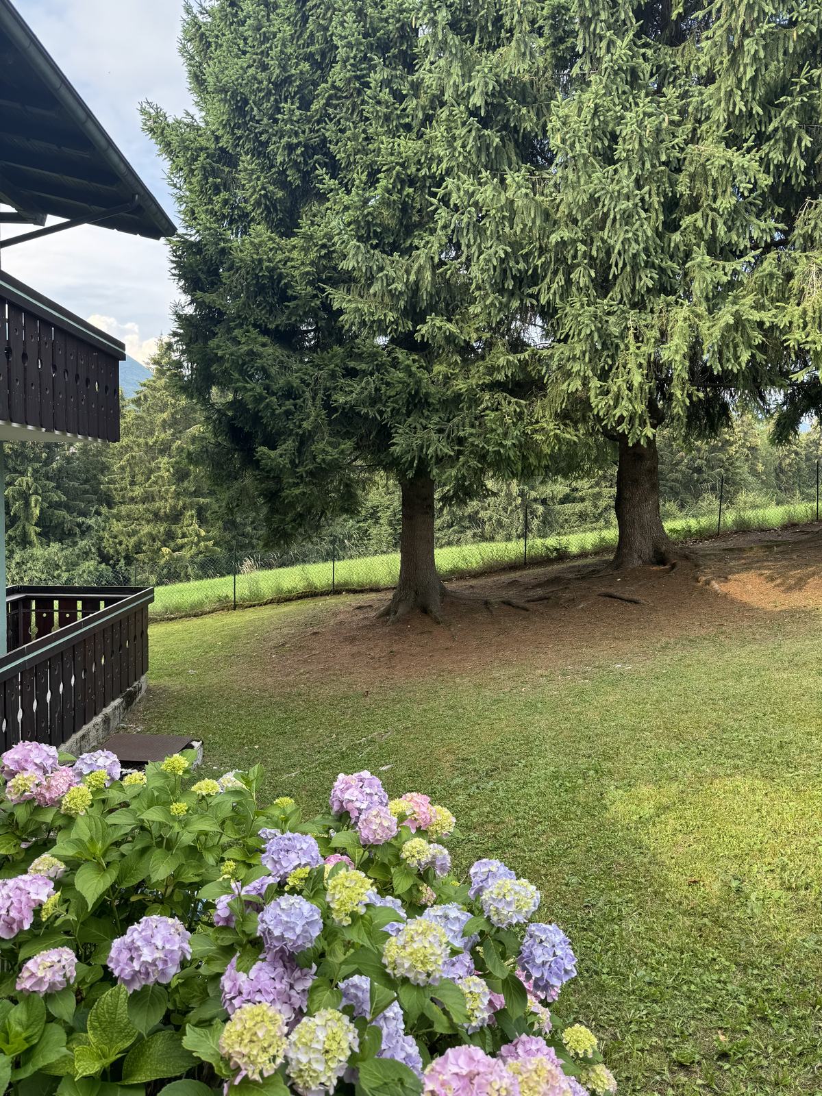 Il giardino in fiore